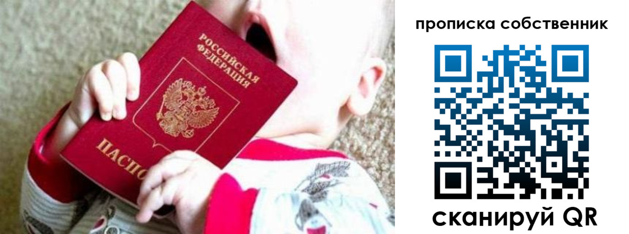 прописка для школы в Димитровграде
